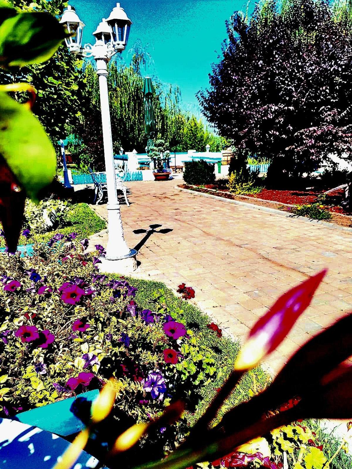 Hotel Pensiunea Prigoria Murighiol Esterno foto